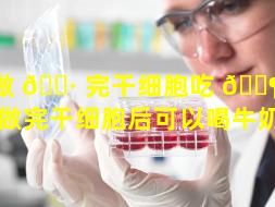 做 🌷 完干细胞吃 🐶 什么好（做完干细胞后可以喝牛奶吗）